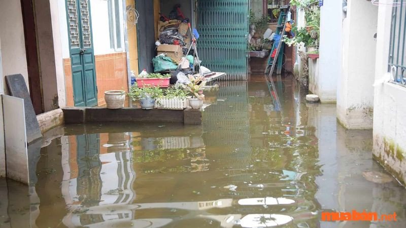 Mơ thấy nước nóng chảy vào trong nhà