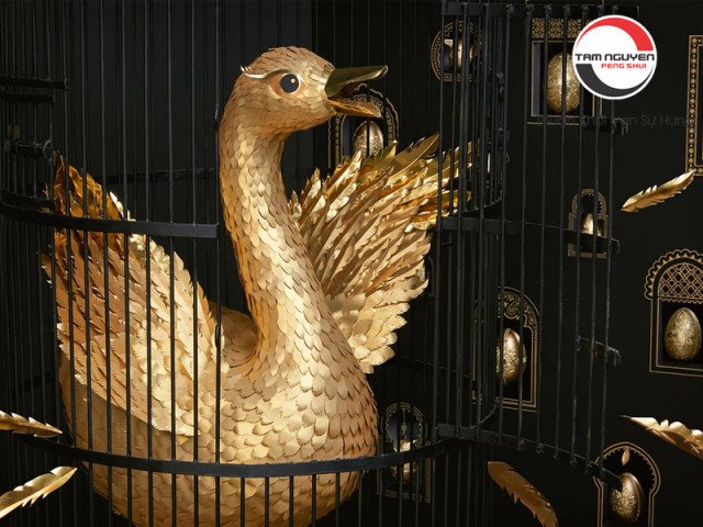 Một con ngỗng trắng với bộ lông mượt mà