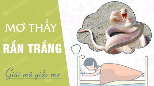 Một con rắn trắng trườn trên thảm cỏ, dưới ánh nắng nhẹ, tượng trưng cho sự tinh khiết và bí ẩn trong giấc mơ về rắn.