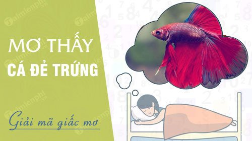 Một đàn cá đang đẻ trứng tượng trưng cho sự sinh sôi nảy nở