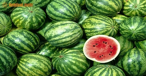 Một quả dưa hấu lớn đặt trên bàn với vỏ xanh và ruột đỏ mọng