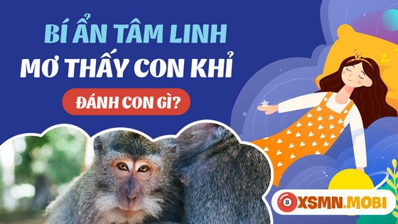 Nằm mơ thấy khỉ đánh số gì dễ trúng nhất theo sổ mơ