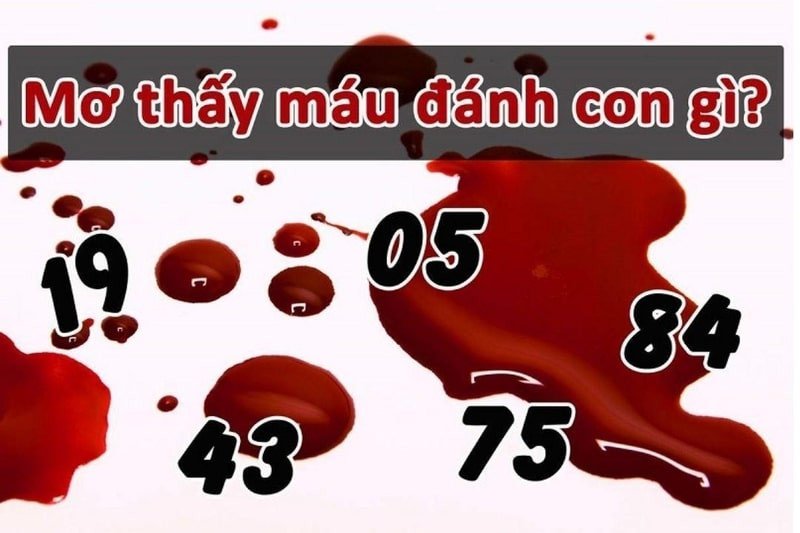 Nằm mơ thấy máu tiết lộ nhiều con số may mắn