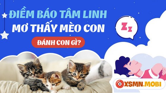Nằm mơ thấy nhiều mèo con mới đẻ có thể liên quan đến các con số may mắn
