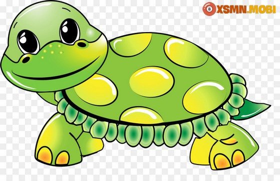Nằm mơ thấy rùa mang lại điềm báo may mắn hay rủi ro