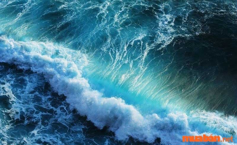 Nằm mơ thấy sóng biển có thể báo hiệu bất trắc