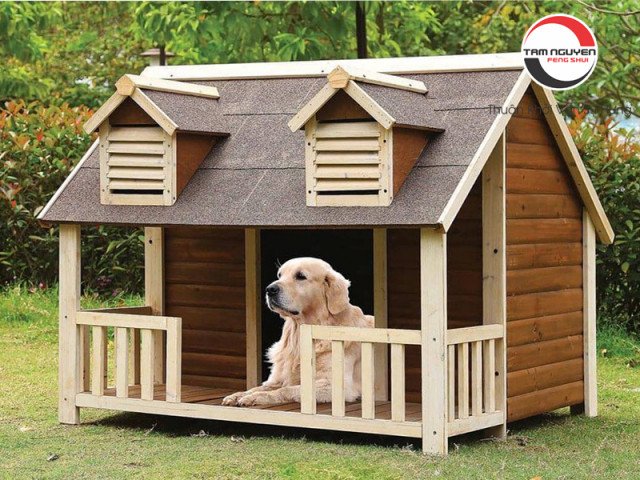 Ngôi nhà chó trong giấc mơ và các vấn đề cuộc sống