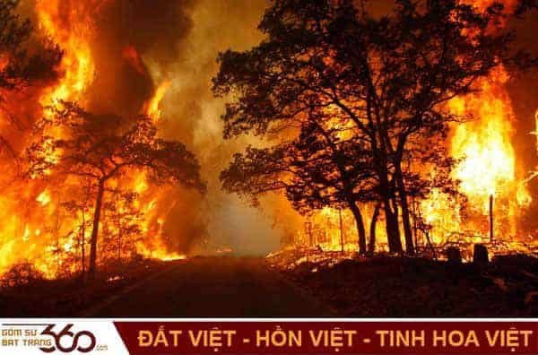Ngọn lửa bùng cháy dữ dội trong rừng, hình ảnh minh họa cho các điềm báo khi mơ thấy lửa