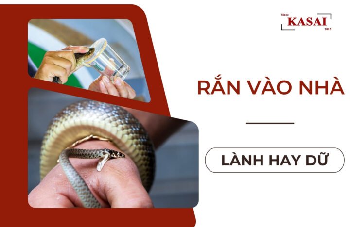Người phụ nữ đang băn khoăn về ý nghĩa giấc mơ thấy rắn