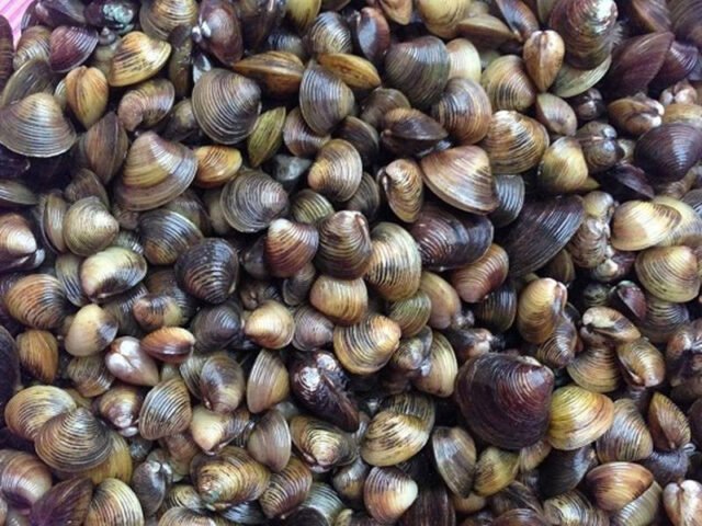 Người phụ nữ đang suy tư nhìn ra cửa sổ, gợi hình ảnh về những giấc mơ và sự suy ngẫm về cuộc sống.