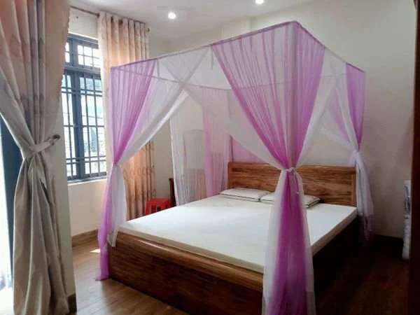 Người phụ nữ mơ thấy cái mùng và những điềm báo tiềm ẩn
