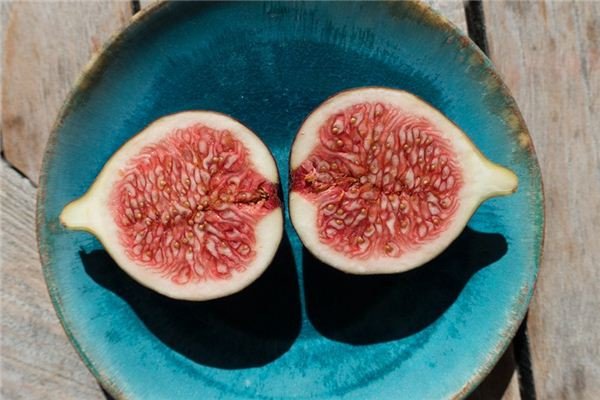 Người phụ nữ mơ thấy cây sung trĩu quả