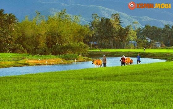 Người phụ nữ trầm tư bên dòng sông, tượng trưng cho những suy tư khi mơ thấy chèo thuyền