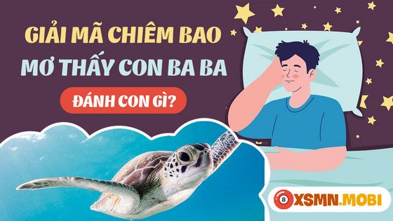 Nhiều con số may mắn liên quan đến giấc mơ thấy ba ba