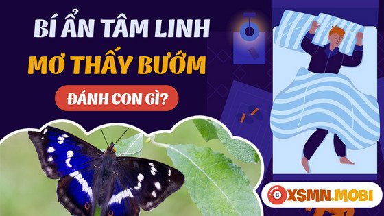 Những con số may mắn khi mơ thấy con bướm đánh số mấy theo sổ mơ