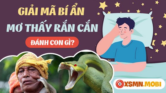 Những con số may mắn liên quan đến giấc mơ rắn cắn