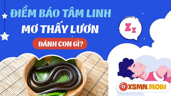 Những con số may mắn liên quan đến giấc mơ thấy lươn