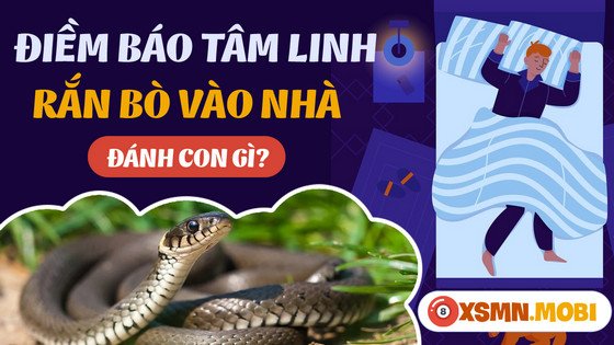 Những con số tài lộc khi nằm mơ thấy rắn vào nhà để thử vận may