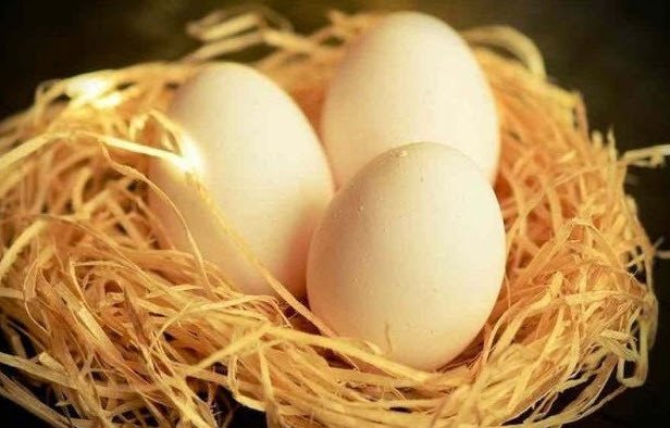 Những quả trứng vịt tươi ngon, nguyên vẹn được đặt cẩn thận trên một mặt phẳng