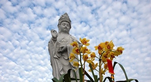 Niệm Phật và trì chú Đại Bi linh ứng giúp học sinh đạt thành tích cao trong học tập