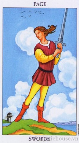 Page of Swords biểu tượng cho sự khởi đầu học hỏi và tư duy sắc bén