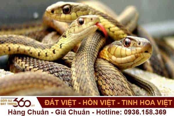 Phân tích chi tiết điềm báo khi nằm mơ thấy 2 con rắn