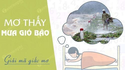 Phong cảnh mơ thấy mưa to gió lớn, giải mã điềm báo