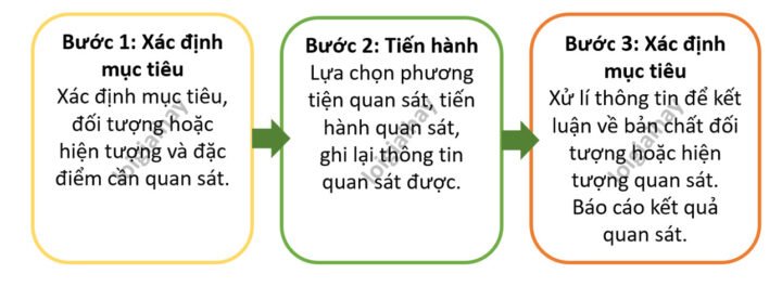 Quan sát mẫu vật dưới kính hiển vi, là một phương pháp nghiên cứu và học tập môn sinh học cơ bản.