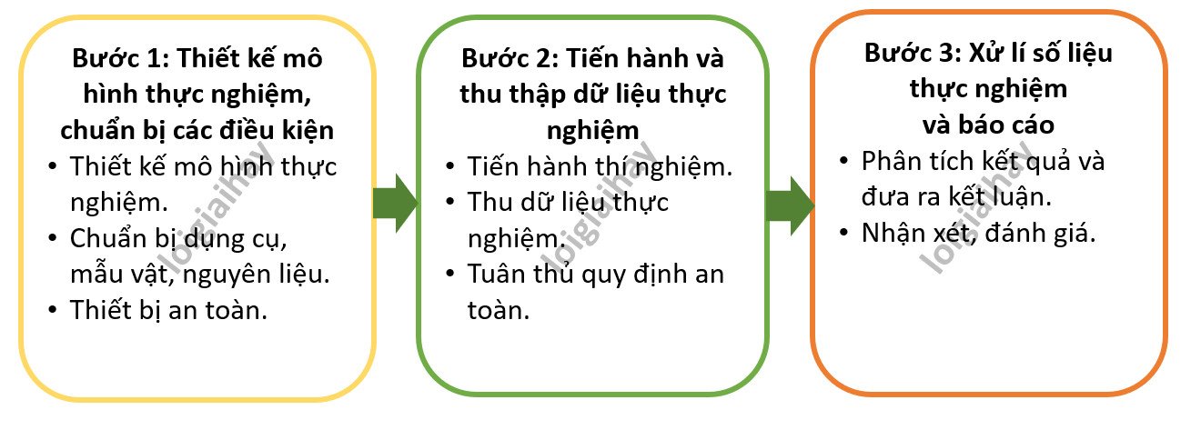 Tiến hành thực nghiệm khoa học ngoài tự nhiên để thu thập dữ liệu sinh học, một phương pháp học tập môn sinh học quan trọng.