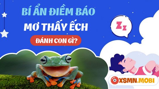 Tìm con số may mắn khi chiêm bao thấy con ếch