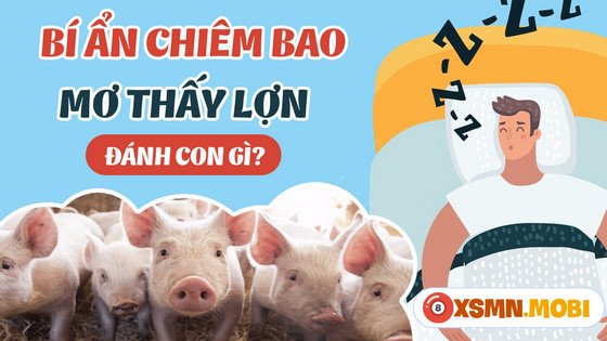 Tổng hợp các con số may mắn khi mơ thấy con lợn đánh số gì