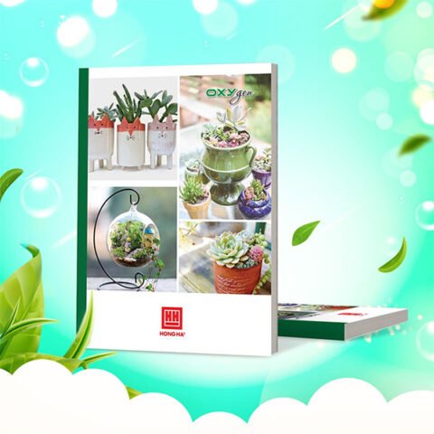 Vở ô ly cho học sinh lớp 6 học tập mấy ô ly