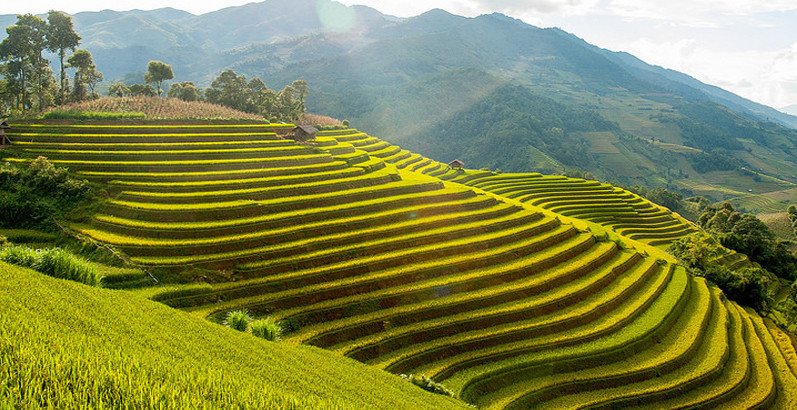 Ý nghĩa con số khi mơ thấy hầu đồng