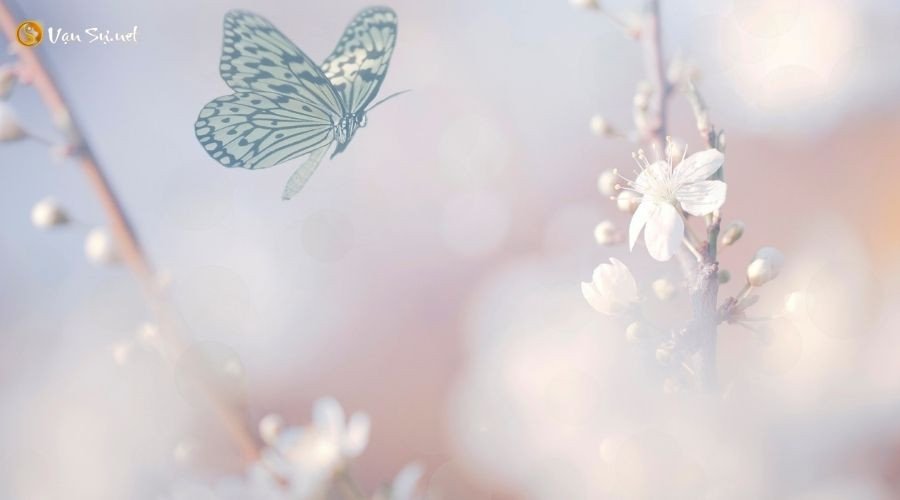 Ý nghĩa của loài bươm bướm trong các giấc mơ