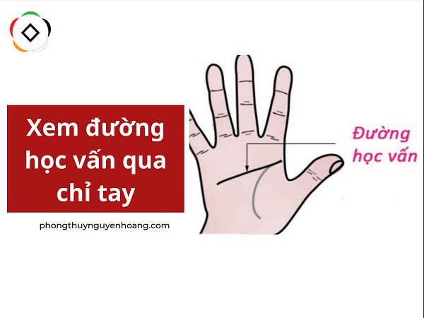 Ý nghĩa đường trí đạo
