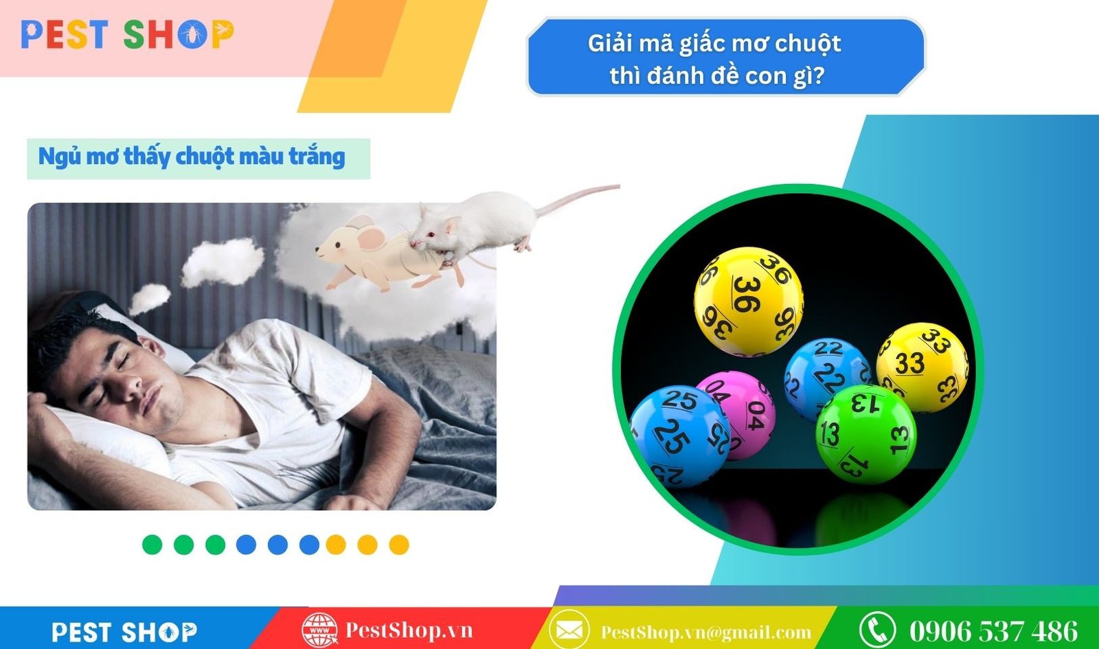 Ý nghĩa giấc mơ thấy chuột trắng và những con số phát tài từ điềm lành này.