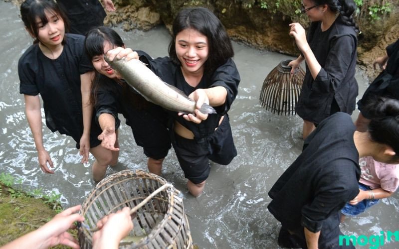 Ý nghĩa giấc mơ thấy đang bắt cá