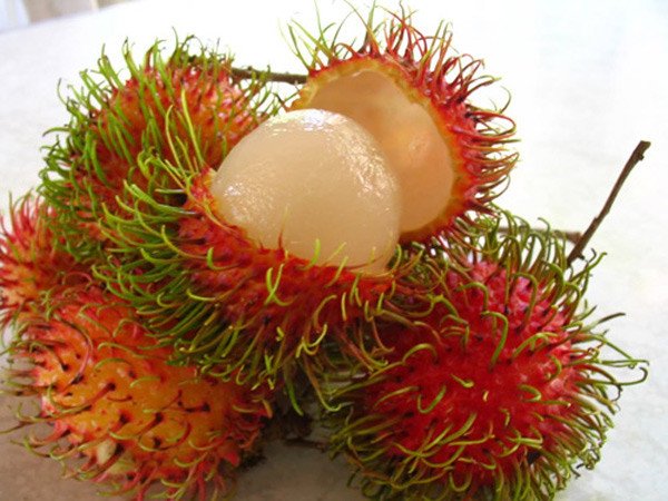 Ý nghĩa giấc mơ thấy quả chôm chôm