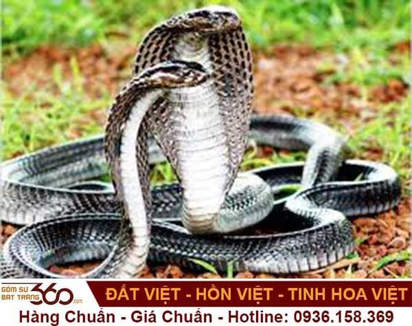 Ý nghĩa tâm linh của giấc mơ thấy rắn và số may mắn