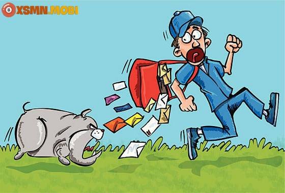 Ý nghĩa tâm linh khi mơ thấy chó đuổi theo cắn