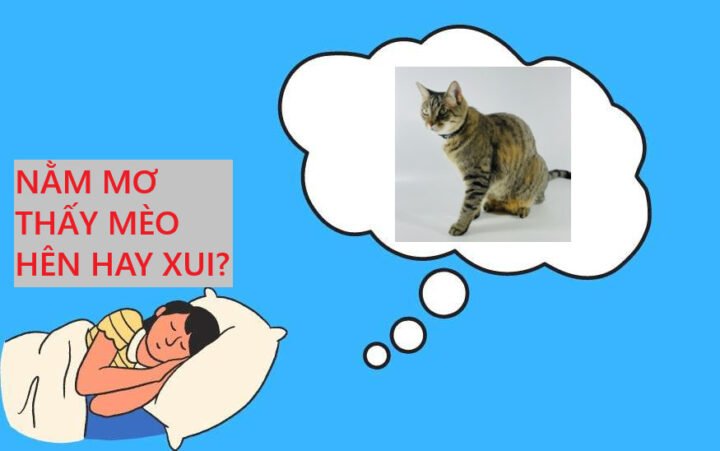 Ý nghĩa tổng thể của giấc mơ về mèo