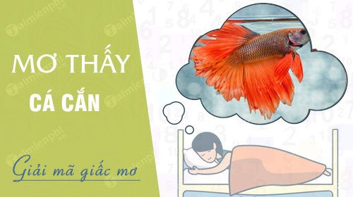 Cá cắn chân trong giấc mơ biểu thị điều gì?