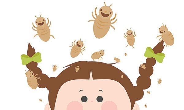 Cận cảnh hình ảnh chấy trên sợi tóc, minh họa cho giấc mơ thấy chấy và các con số may mắn liên quan.