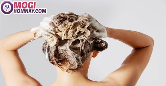 Con số tài lộc khi nằm mơ thấy gội đầu