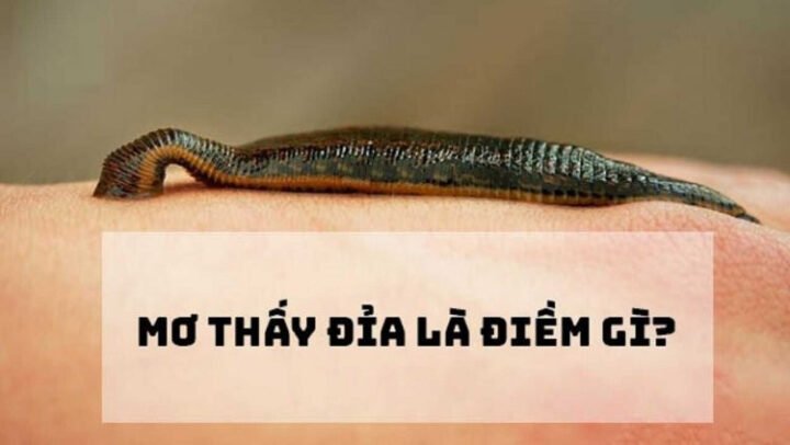 Đỉa hút máu biểu tượng cho sự tiêu hao năng lượng trong giấc mơ thấy đỉa đeo
