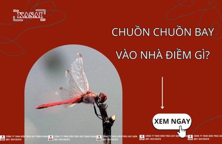 Giải mã giấc mơ thấy chuồn chuồn bay vào nhà