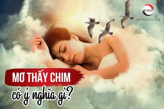 Giải mã ý nghĩa chung của chim trong giấc mơ