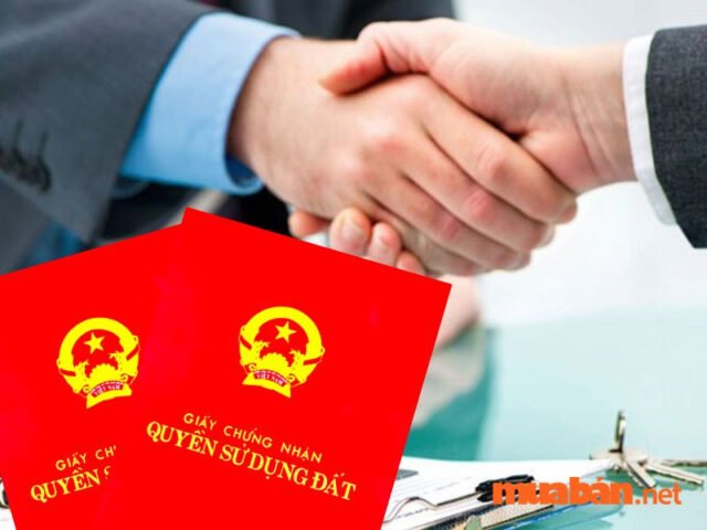 Giải mã ý nghĩa nằm mơ thấy đi mua đất và điềm báo phong thủy