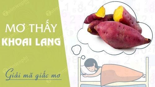 hình ảnh củ khoai lang tươi ngon trong giấc mơ