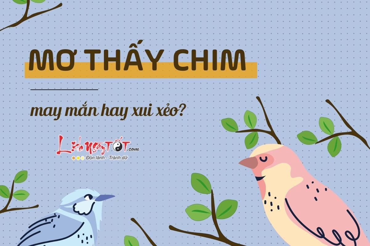 Luận giải điềm may rủi khi mơ thấy chim bay, chim đậu hoặc chim hót.